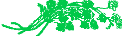 greens