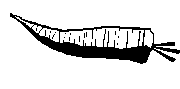 maror