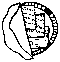 matzot